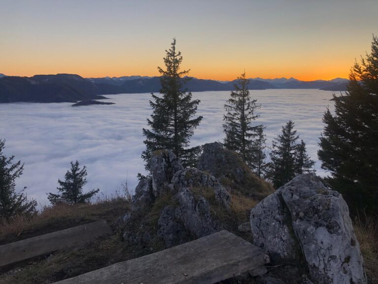 img-20250408-wa0004